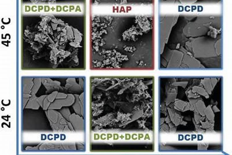 果树套袋后补钙用什么钙
