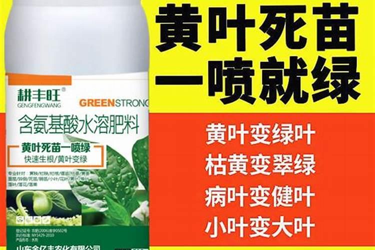 叶绿素叶面肥喷在秧田里能用几次吗？