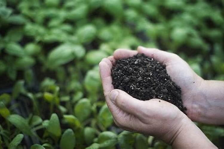 什么是肥料,肥料专业名词解释