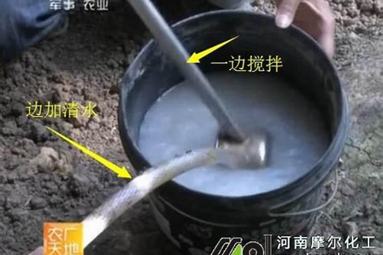 樱桃姐姐6号水溶肥的使用方法及注意事项