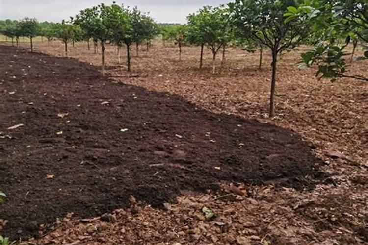 全国最大腐植酸生产厂家