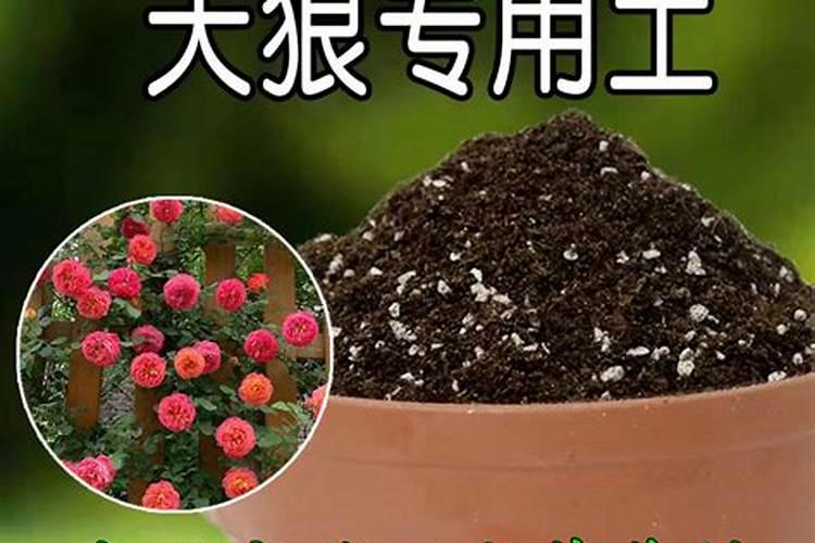 植物营养液的成分是什么