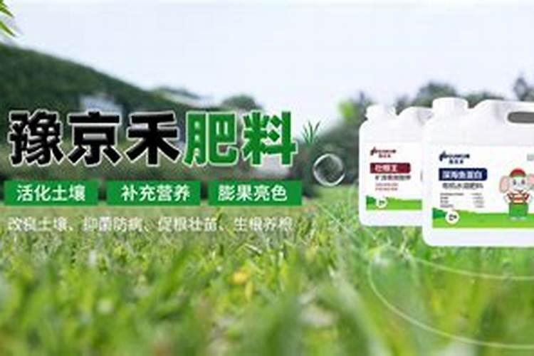 水溶肥什么品牌好？