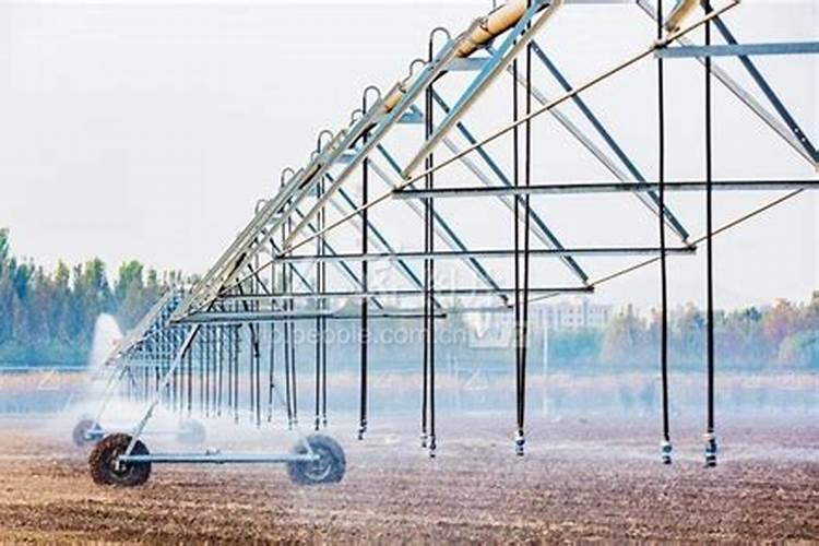 水稻齐穗时打芸苔素可以吗