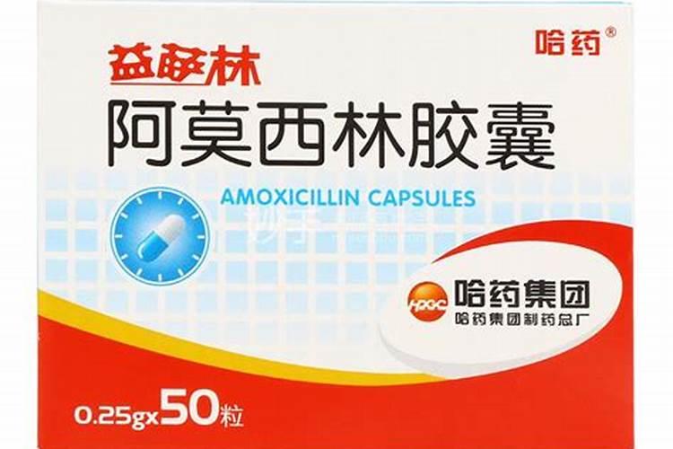 过期感冒药小钙片···养花来1粒,新叶呼呼冒,跟打了激素似的!