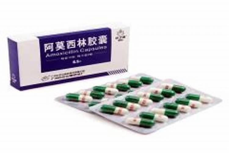 过期感冒药小钙片.1片养花丸新叶咆哮像荷尔蒙!