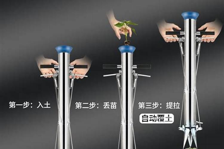 辣椒怎么种植？