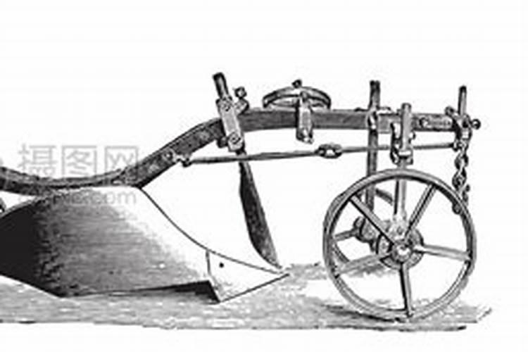 柑橘如何施肥？