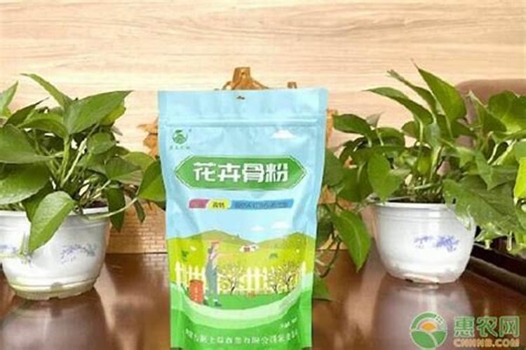 骨粉肥料怎么施肥最好