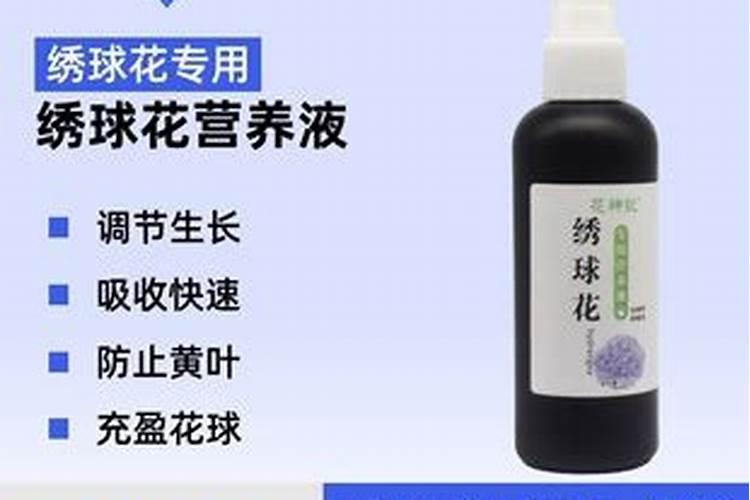 绣球有花苞了该怎么施肥