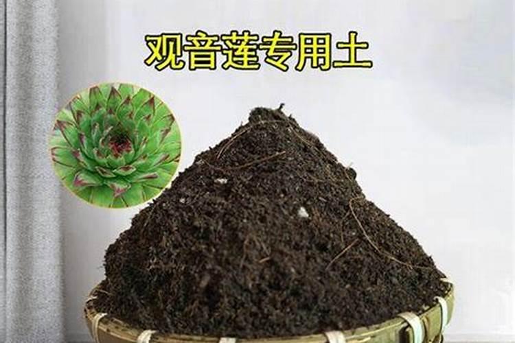 什么肥料可以治盐碱地