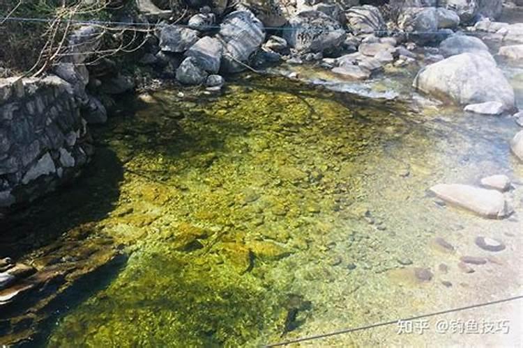 碳酸氢铵能杀青苔吗