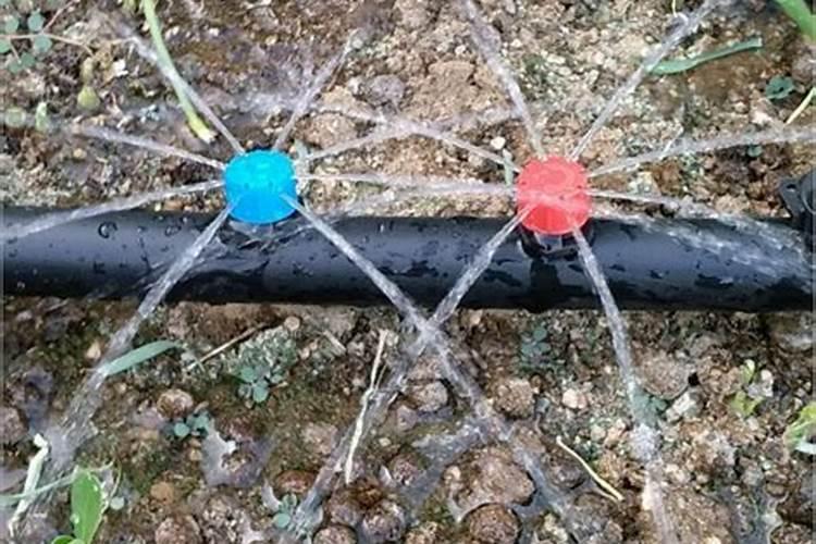 水容肥给果树多久施肥一次