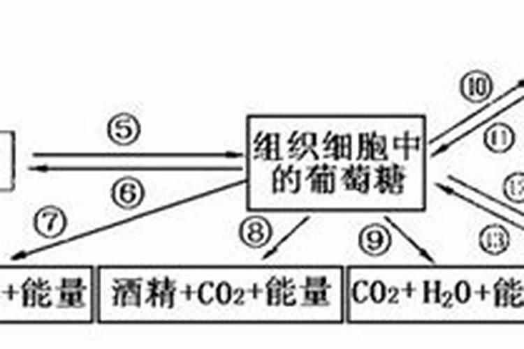 什么物质能使高锰酸钾溶液褪色？为什么？