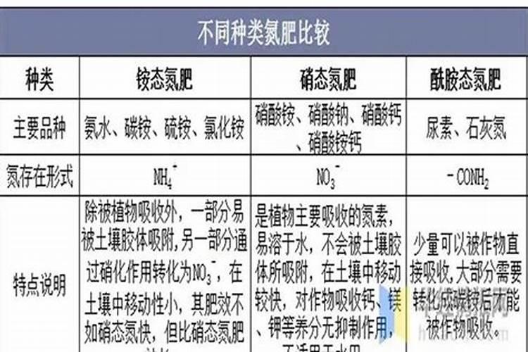 氮肥的吸收转化过程