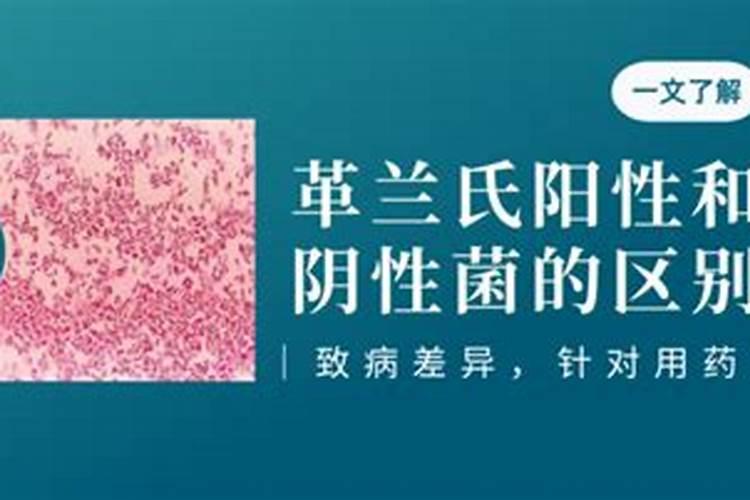 熏衣草的作用与功效有哪些