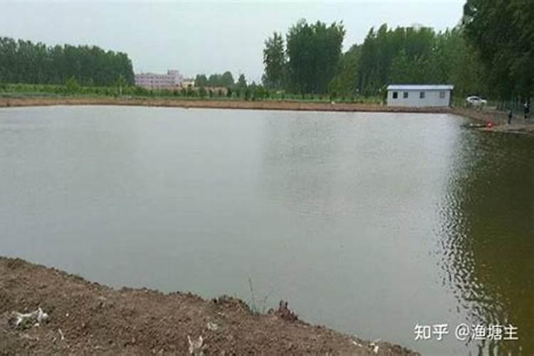 鱼塘快速肥水的办法
