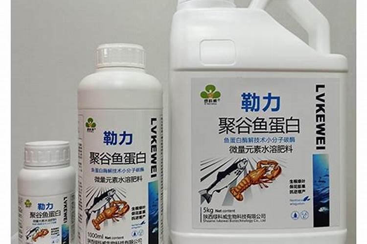 蛋白粉有“优劣”之分,全面解说蛋白质,助你健身更进一步