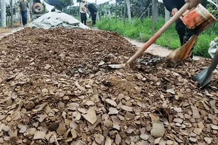 豆饼肥属于氮肥还是磷钾肥