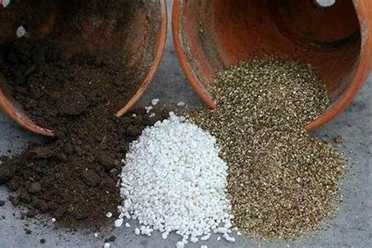 氮肥养花的作用