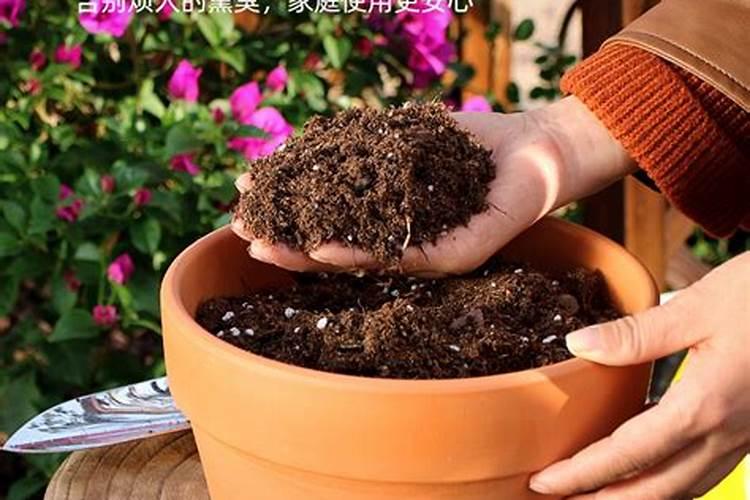 怎么给花补氮肥