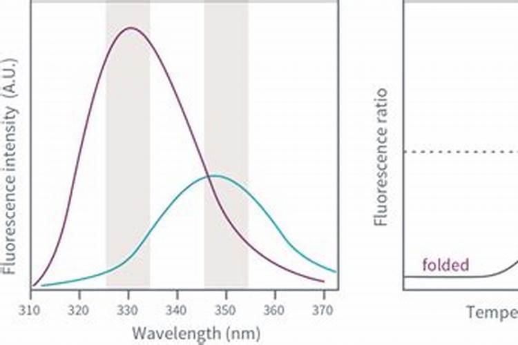 鱼蛋白肥如何辨别好坏？