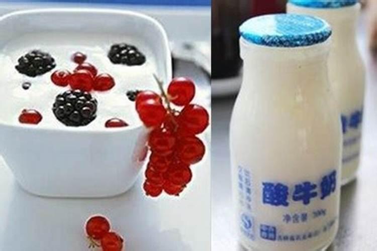 酸奶浇花的正确方法具体怎么做的