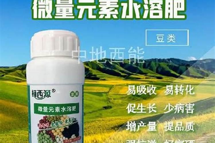 夏天金豆浇什么肥最旺