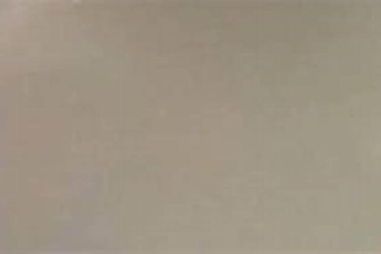 冰菜种植技术方法