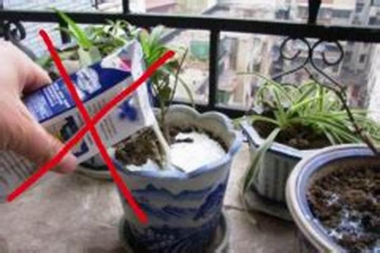 氮肥是什么肥料,氮钾追肥使用方法