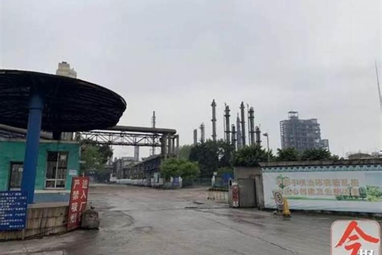硅肥什么牌子最好