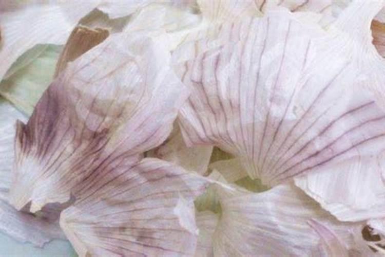 大蒜皮怎么做花肥