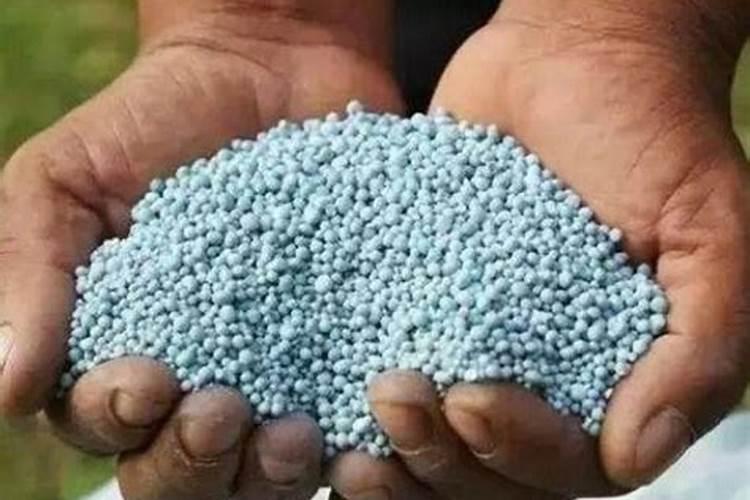 水溶肥是什么肥料怎样使用