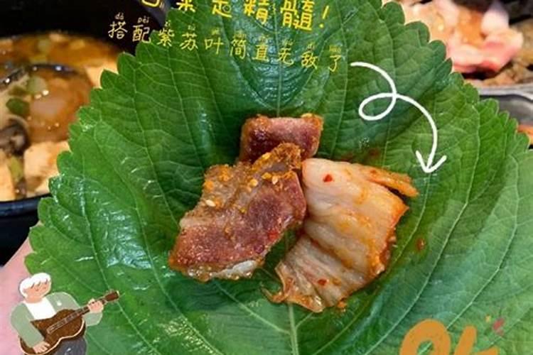 包烤肉的生菜什么品种
