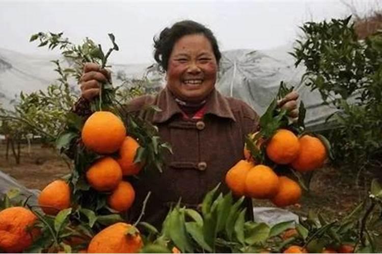 大白豆快速泡发方法