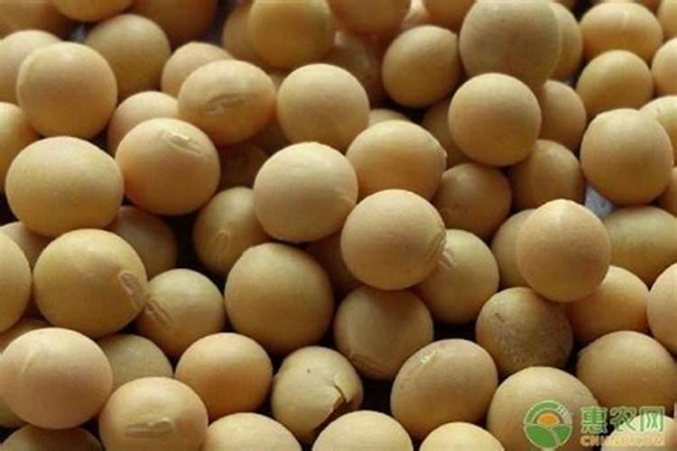 大豆开花期能打叶面肥吗