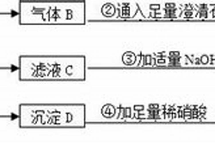 什么肥能让植物根茎粗壮