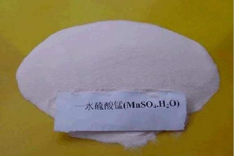 种大蒜需要什么肥料最好