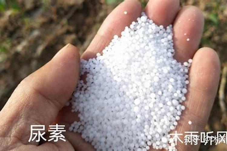 磷肥与碳酸氢铵能一起用吗