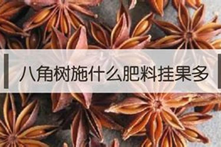八角放尿素磷肥钾肥氯化钾和硫酸钾哪样最好料可保花保果