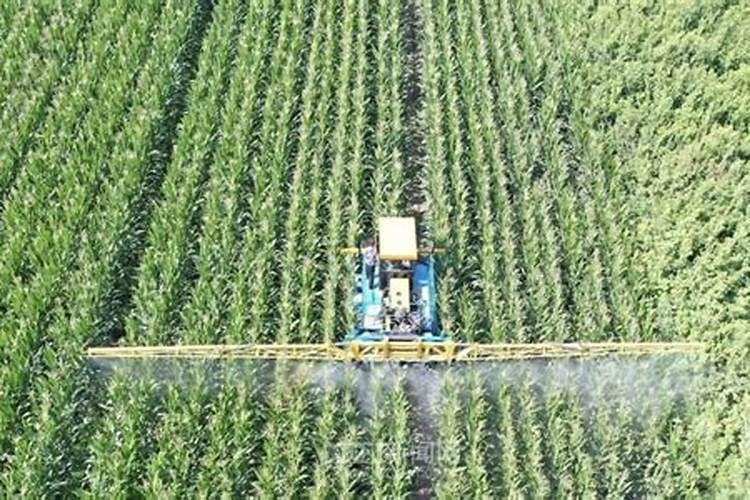 果蔬种植为何要使用富硒肥富硒叶面肥,功能多,简单省事