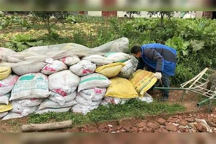 有机肥如何鉴定好坏