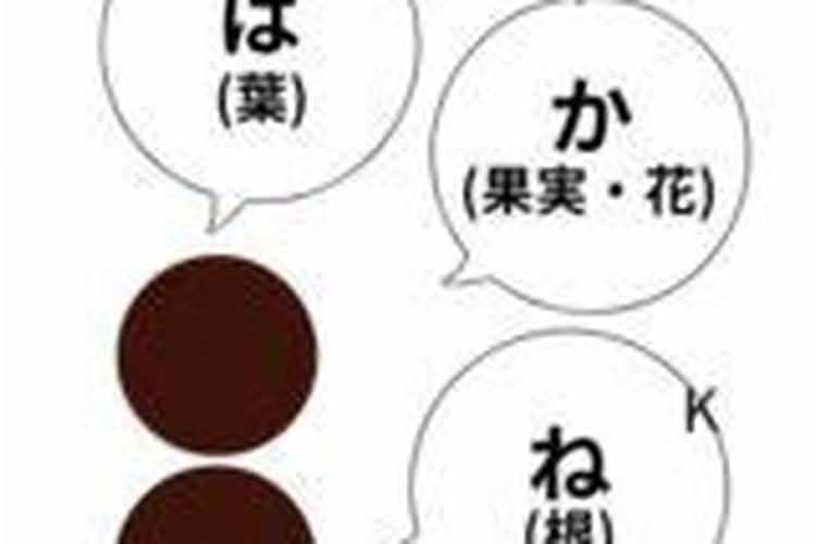 种小麦三要素肥的配比是多少？