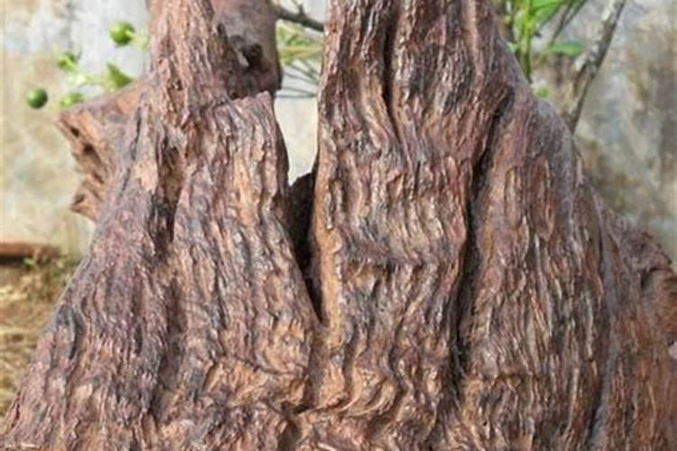 紫柚木黄水对龟有危害吗