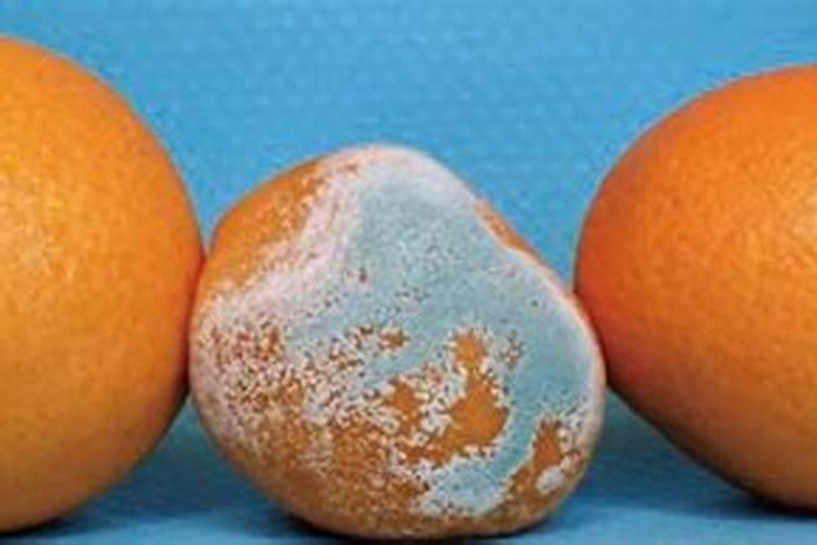 怎么让木头泡水不黄？