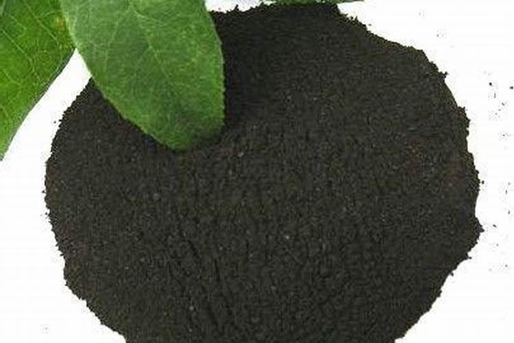 腐植酸是什么东西,腐植酸的作用