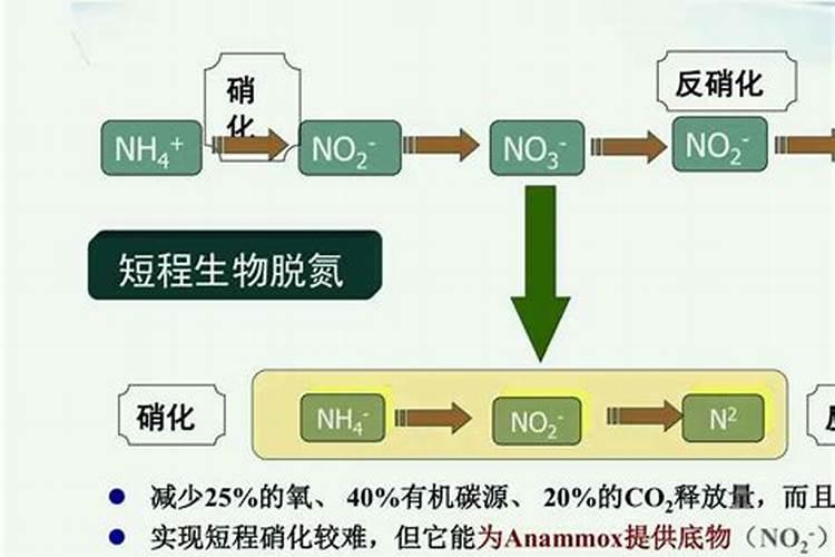 水淹田不适合施哪种氮肥 水淹田是什么意思