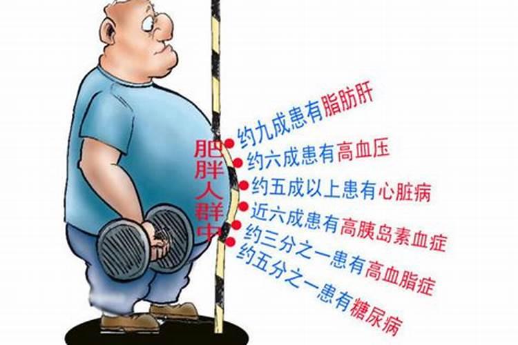 肥胖更容易让人营养不良原因在这