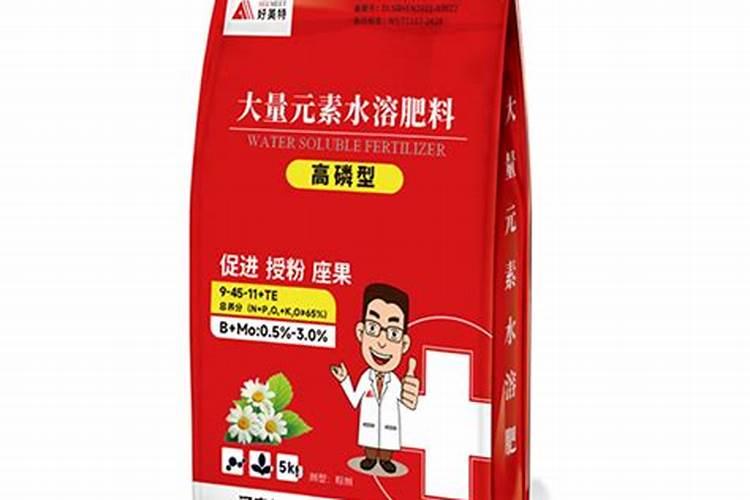 百里杜鹃多举措打造旅游品牌升级版