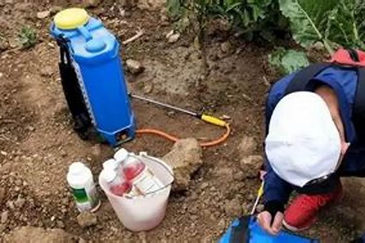 ...稀释水能打死杂草？我一桶水是32斤,配多少克草甘膦效果好？谢谢百度...